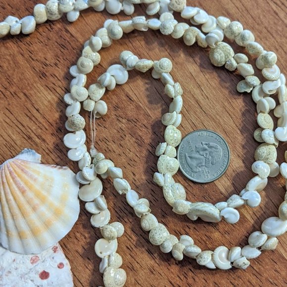 3 For 20 Real Seashell Tiny Shell Necklace Long Luau Lei - Picture 2 of 4